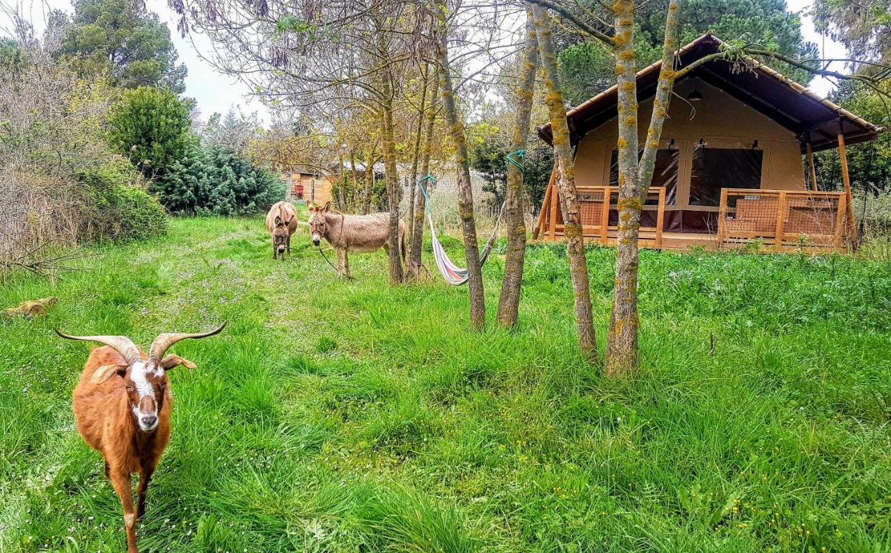 Analaya Villa Vias Luaran gambar